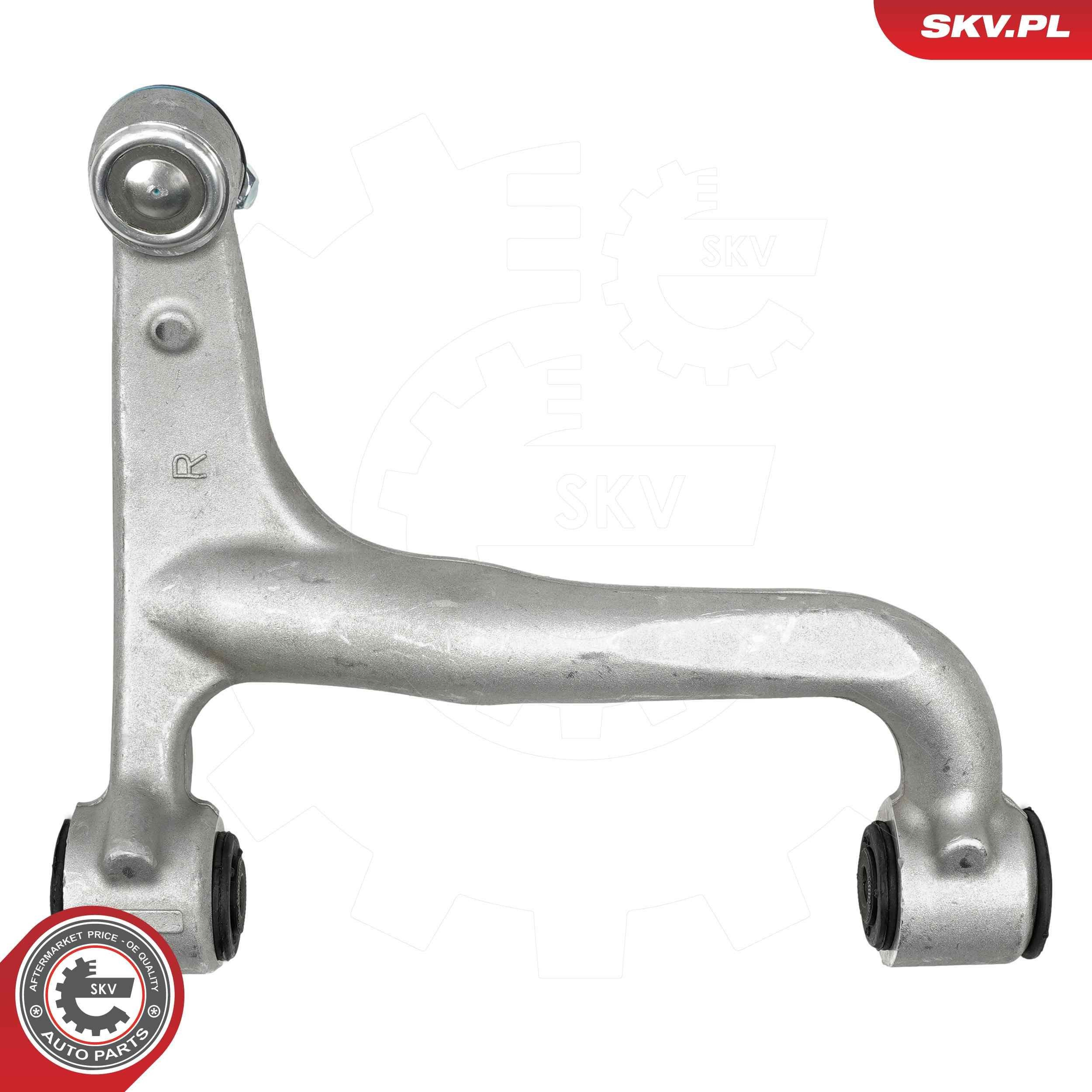69SKV318 SKV
